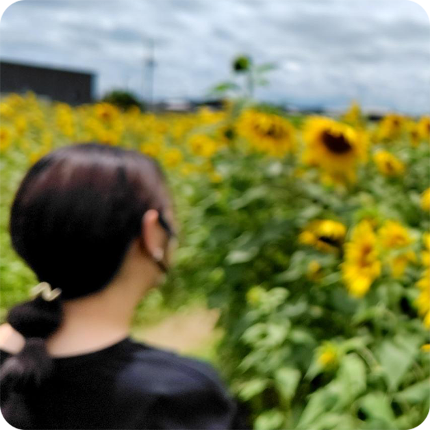 LINE登録はこちら